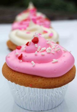 sprinkle-cupcakes-pp.jpg